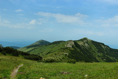 Vranica